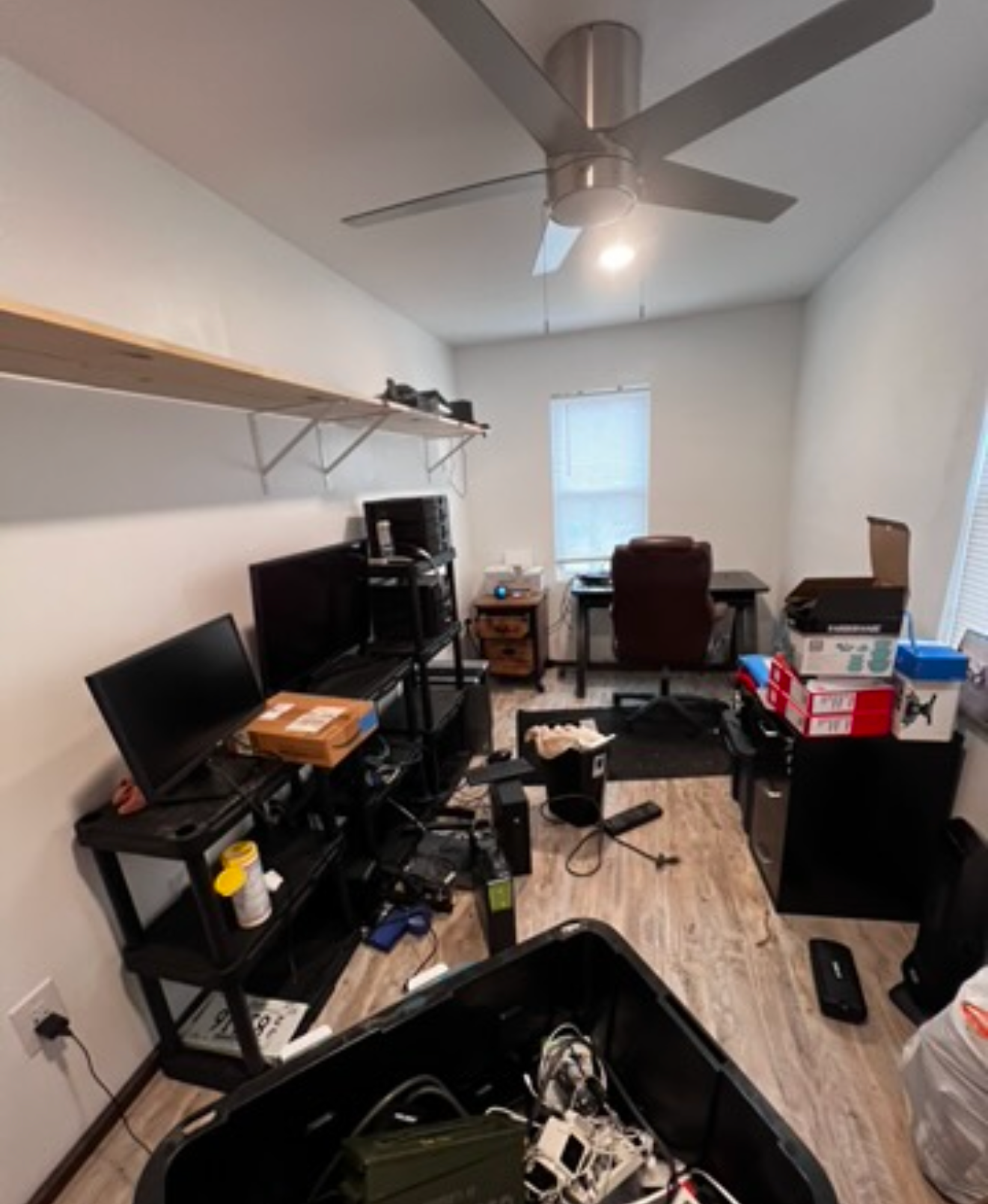 Cleanouts, Organizing & More